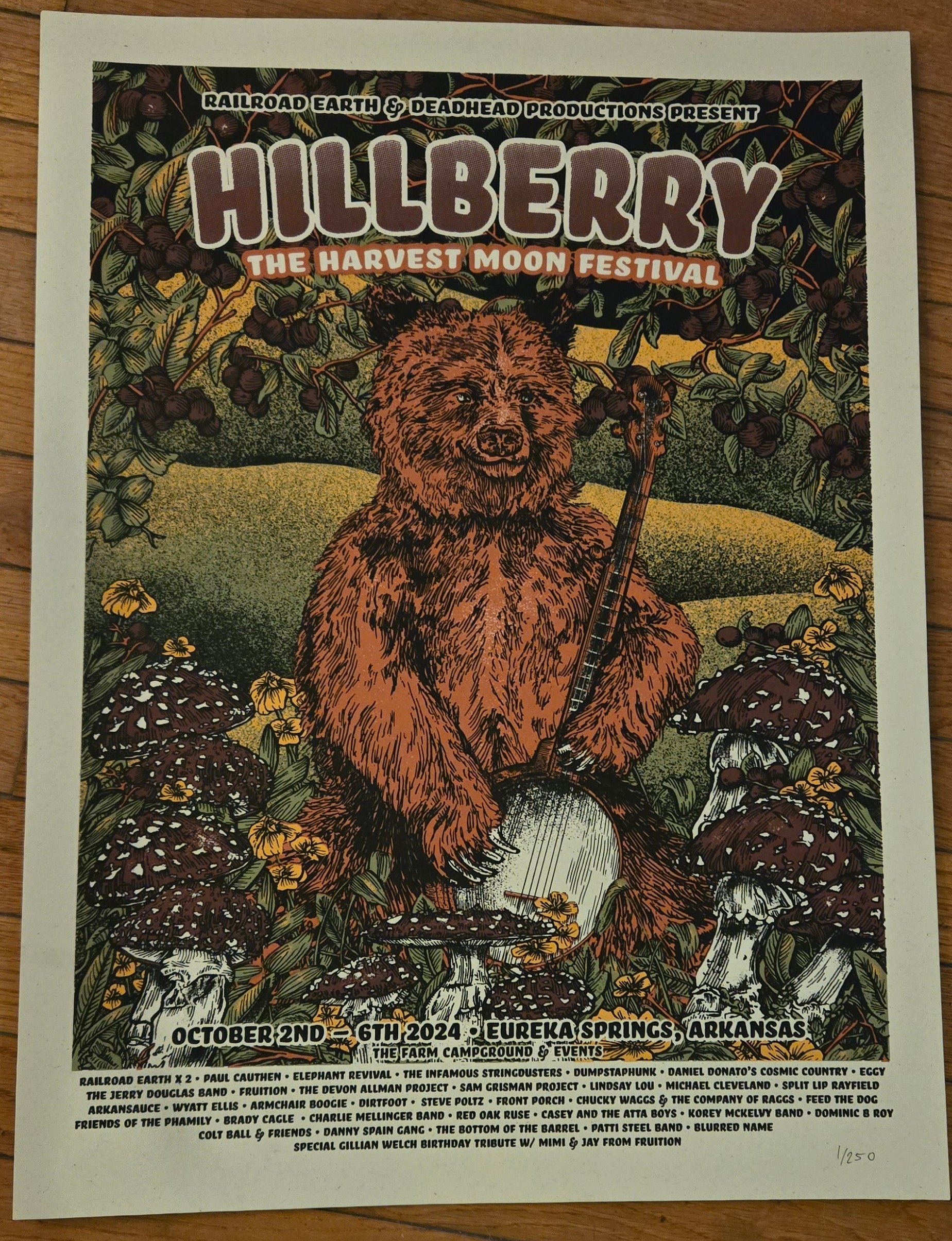 Hillberry 2024 Posters