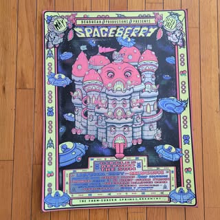 Spaceberry 2023 Posters
