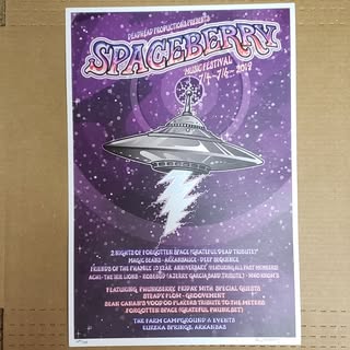 Spaceberry 2019 Posters